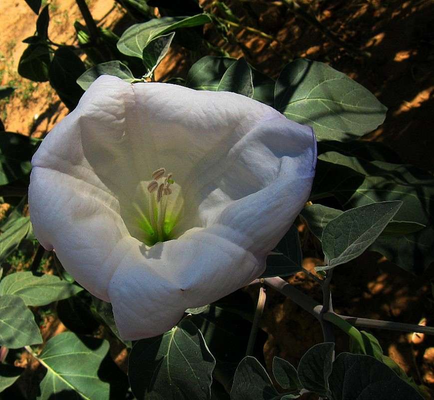 ... ����� Natali  ��������� �� PhotoGeek.ru #������ ��� ������� #����� ��������������