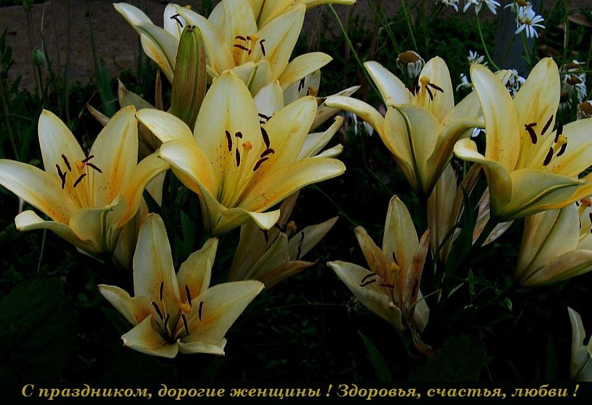 � ���������� ! ����� Natali  ��������� �� PhotoGeek.ru #������ ��� ������� #����� ��������������