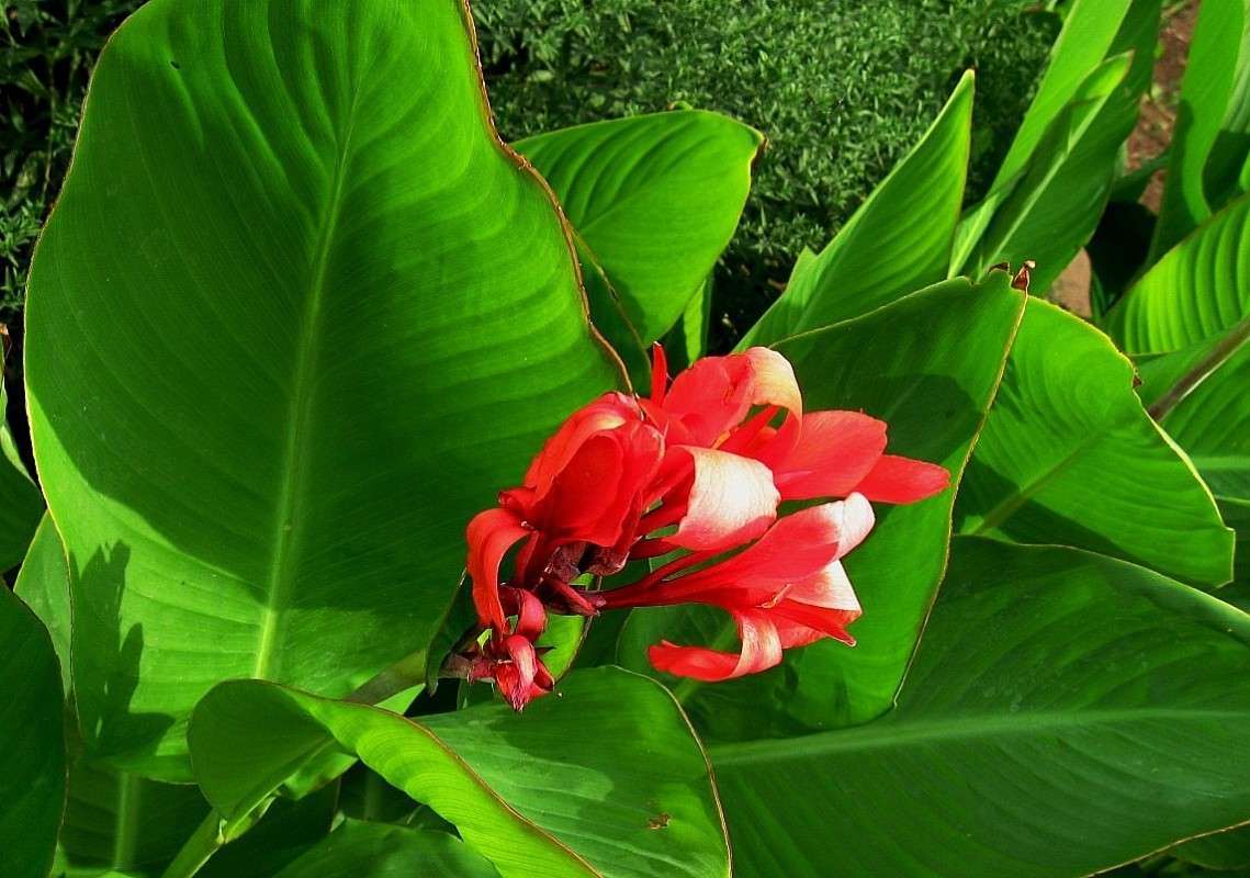 ... ����� Natali  ��������� �� PhotoGeek.ru #������ ��� ������� #����� ��������������