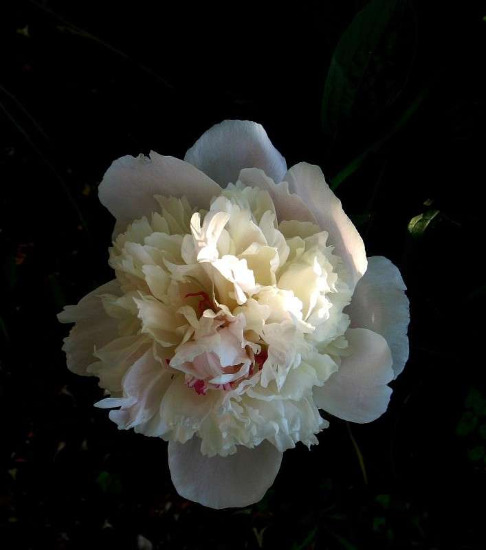 ... ����� Natali  ��������� �� PhotoGeek.ru #������ ��� ������� #����� ��������������