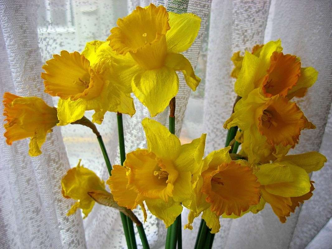 ���������������� ������... ) ����� Natali  ��������� �� PhotoGeek.ru #������ ��� ������� #����� ��������������