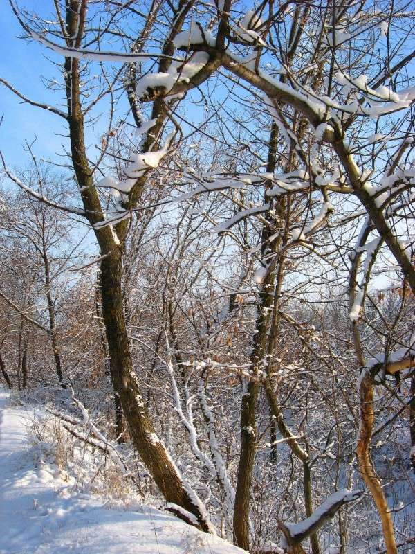 �������� ����...) ����� Natali  ��������� �� PhotoGeek.ru #������ ��� ������� #����� ��������������