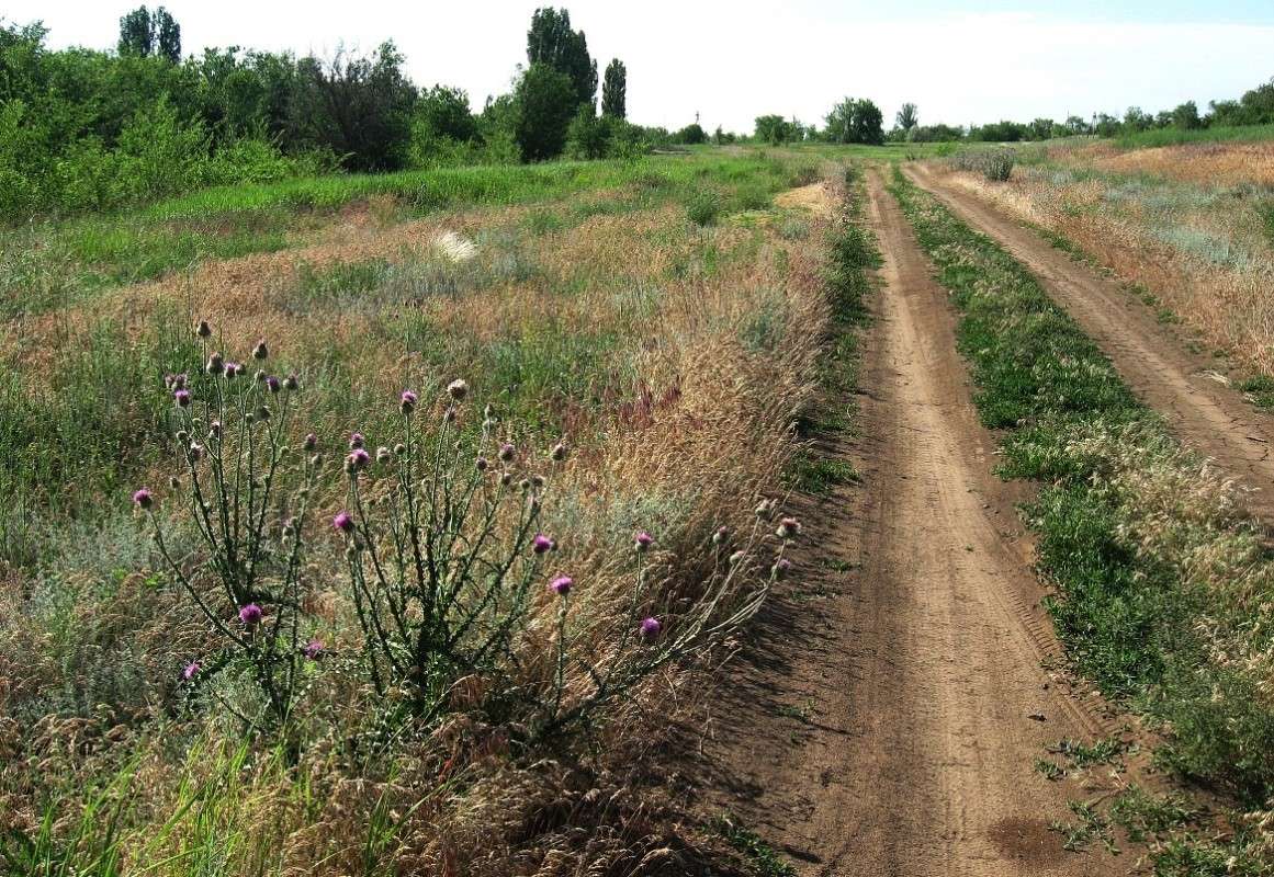 � ������ ����� Natali  ��������� �� PhotoGeek.ru #������ ��� ������� #����� ��������������