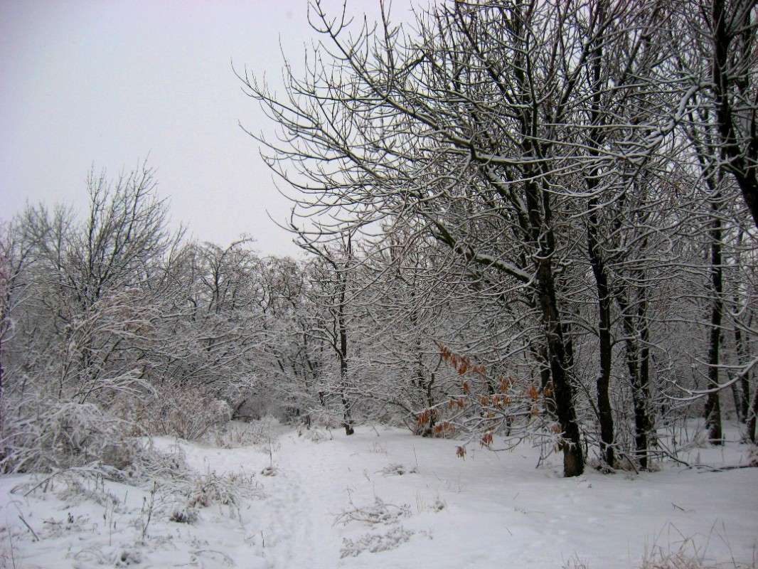 ... ����� Natali  ��������� �� PhotoGeek.ru #������ ��� ������� #����� ��������������