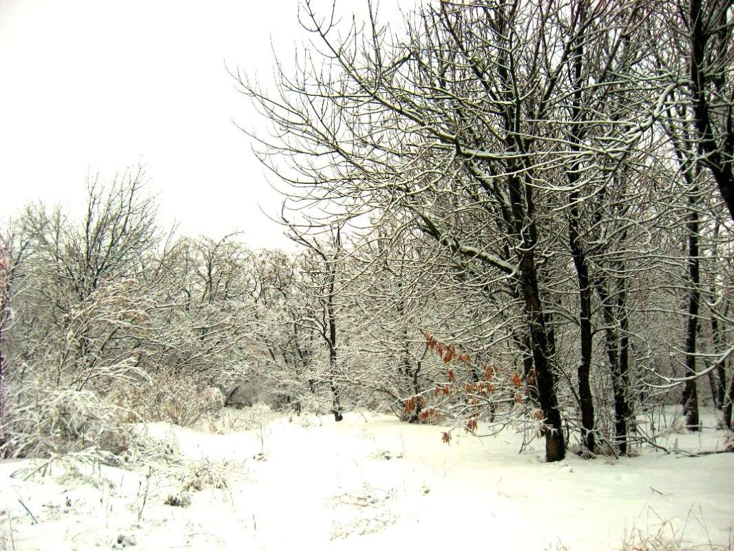 ... ����� Natali  ��������� �� PhotoGeek.ru #������ ��� ������� #����� ��������������