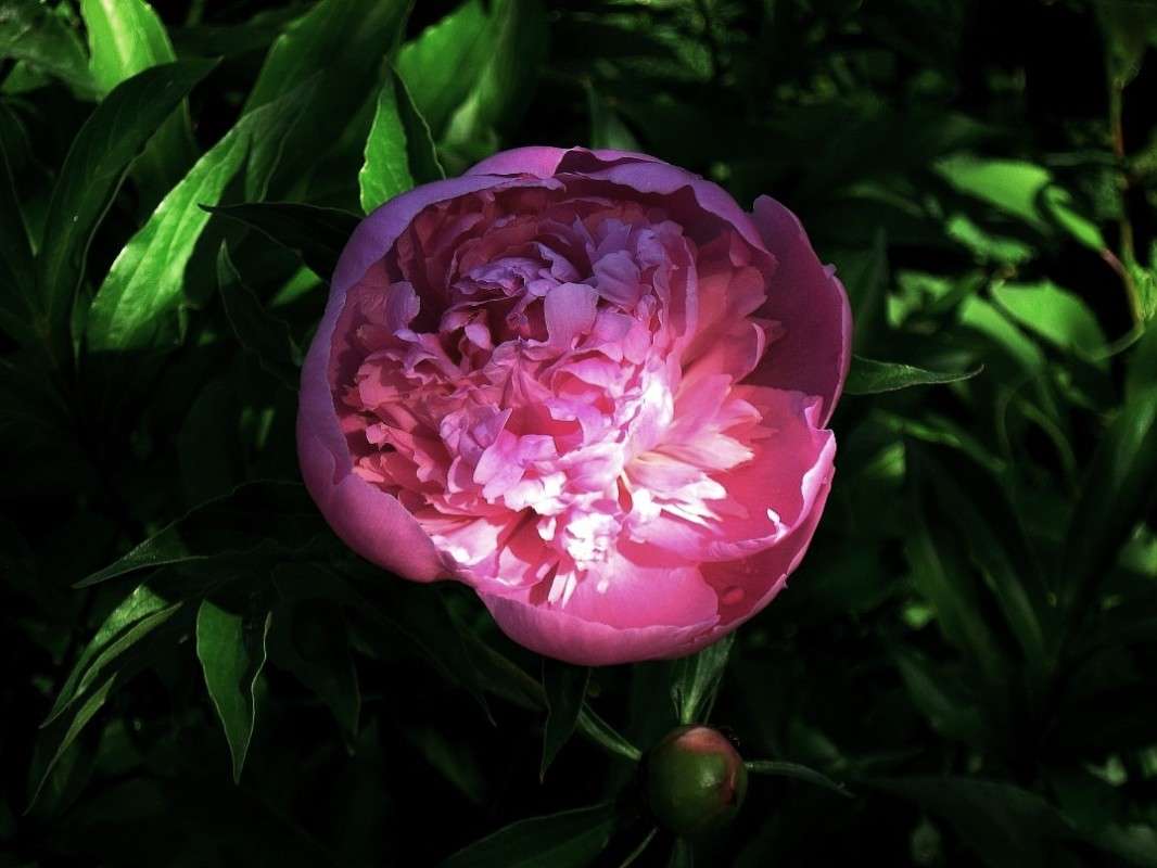 ... ����� Natali  ��������� �� PhotoGeek.ru #������ ��� ������� #����� ��������������