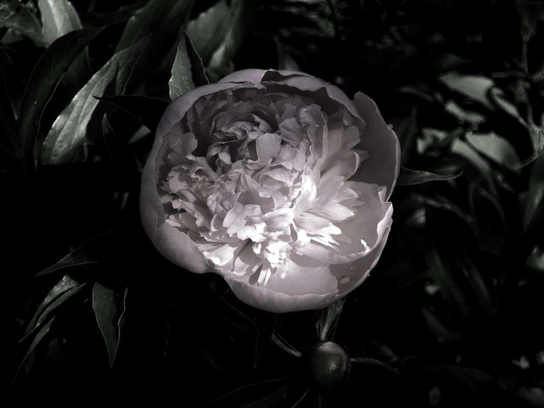 ... ����� Natali  ��������� �� PhotoGeek.ru #������ ��� ������� #����� ��������������