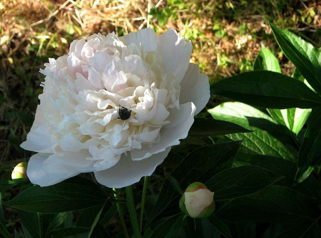 *__* ����� Natali  ��������� �� PhotoGeek.ru #������ ��� ������� #����� ��������������