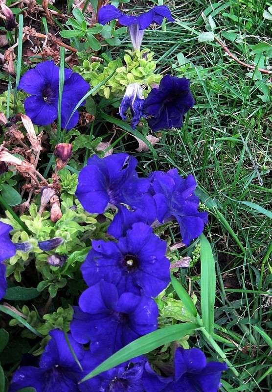 ... ����� Natali  ��������� �� PhotoGeek.ru #������ ��� ������� #����� ��������������