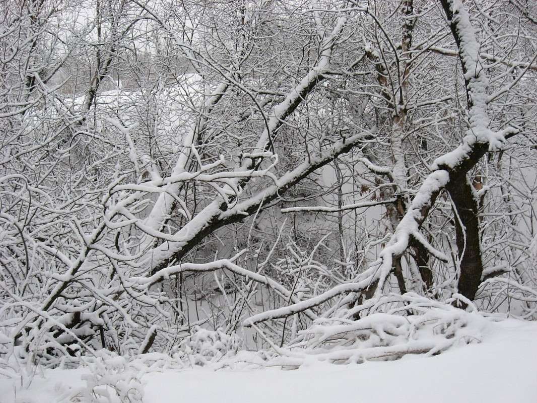 ������, ����������...) ����� Natali  ��������� �� PhotoGeek.ru #������ ��� ������� #����� ��������������