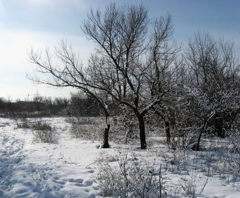 �������� �� ���� ����� Natali  ��������� �� PhotoGeek.ru #������ ��� ������� #����� ��������