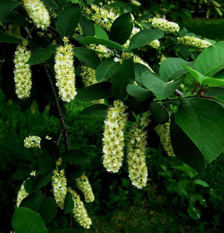 ����� �����... ����� Natali  ��������� �� PhotoGeek.ru #������ ��� ������� #����� ��������������