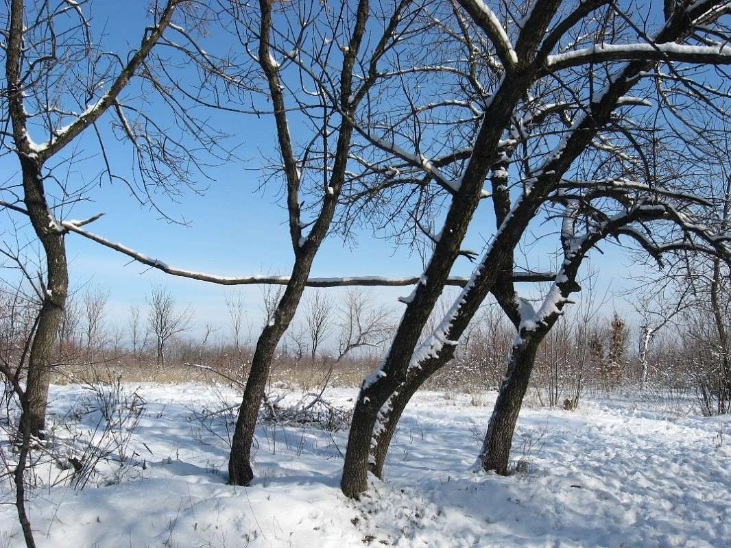 ��� ������� � ����� ����� Natali  ��������� �� PhotoGeek.ru #������ ��� ������� #����� ��������������