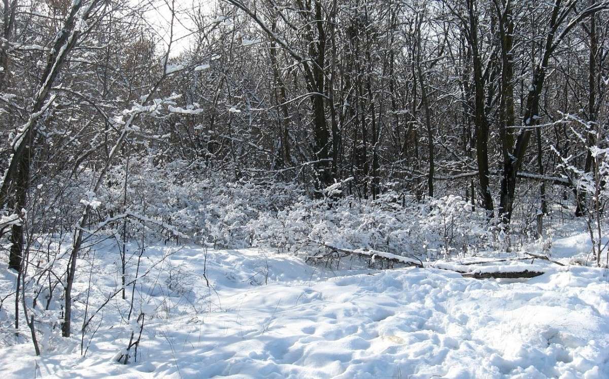 ��� ������� � ����� 2 ����� Natali  ��������� �� PhotoGeek.ru #������ ��� ������� #����� ��������������