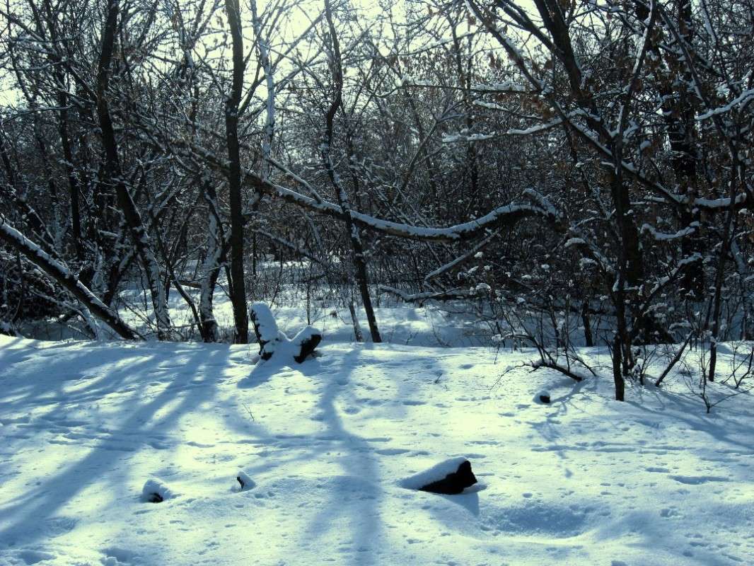 ��� ������� � ����� 3 ����� Natali  ��������� �� PhotoGeek.ru #������ ��� ������� #����� ��������������