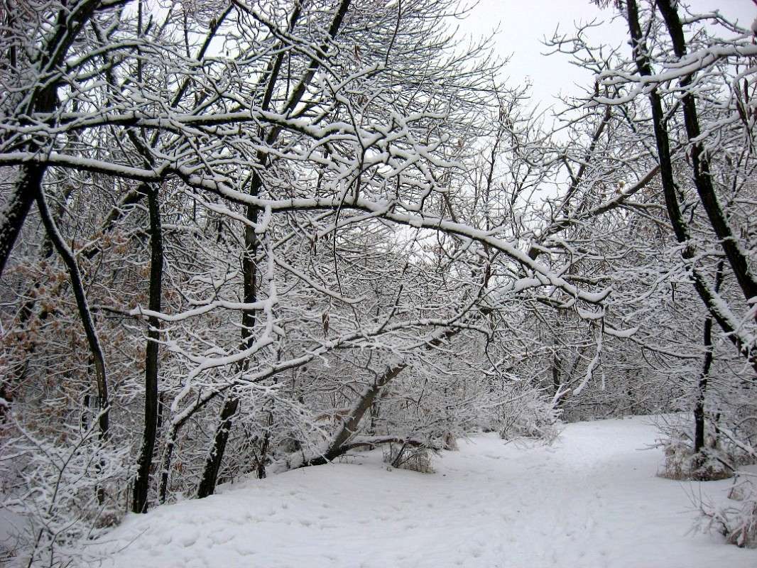 ��� ������� � ����� 4 ����� Natali  ��������� �� PhotoGeek.ru #������ ��� ������� #����� ��������������