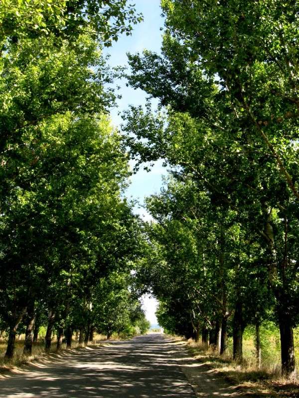 ��� ������� � ����� 5 ����� Natali  ��������� �� PhotoGeek.ru #������ ��� ������� #����� ��������������