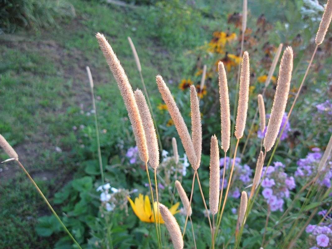 ��������...))) ����� Natali  ��������� �� PhotoGeek.ru #������ ��� ������� #����� ��������������