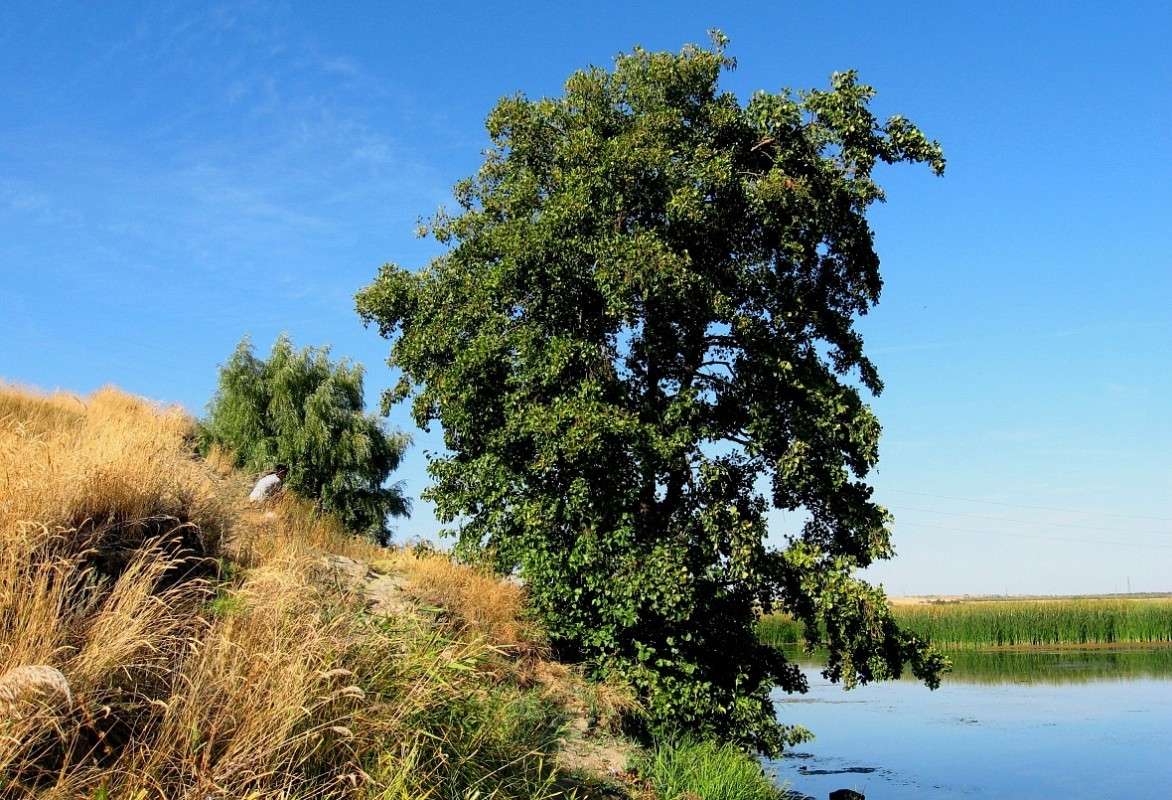 ����� ������ ����� Natali  ��������� �� PhotoGeek.ru #������ ��� ������� #����� ��������������