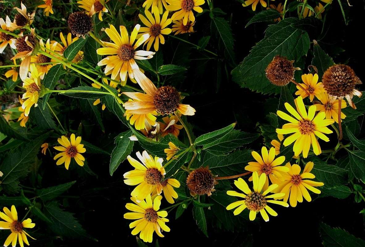 ����� ������ 2 ����� Natali  ��������� �� PhotoGeek.ru #������ ��� ������� #����� ��������������