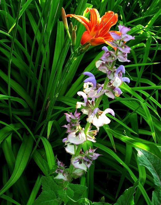 ... ����� Natali  ��������� �� PhotoGeek.ru #������ ��� ������� #����� ��������������