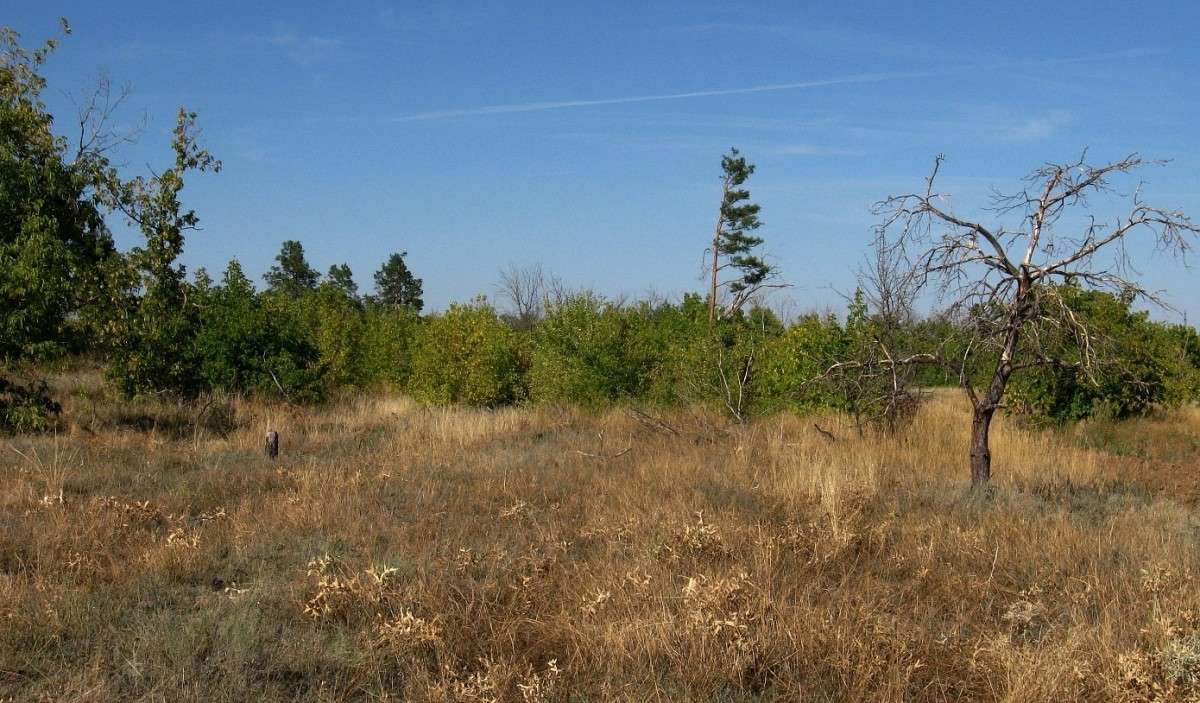 ����� ������ 3 ����� Natali  ��������� �� PhotoGeek.ru #������ ��� ������� #����� ��������������