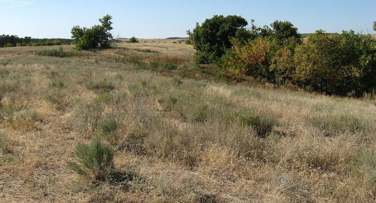 ��, ��� ������ ������� ������! ����� Natali  ��������� �� PhotoGeek.ru #������ ��� ������� #����� ��������������