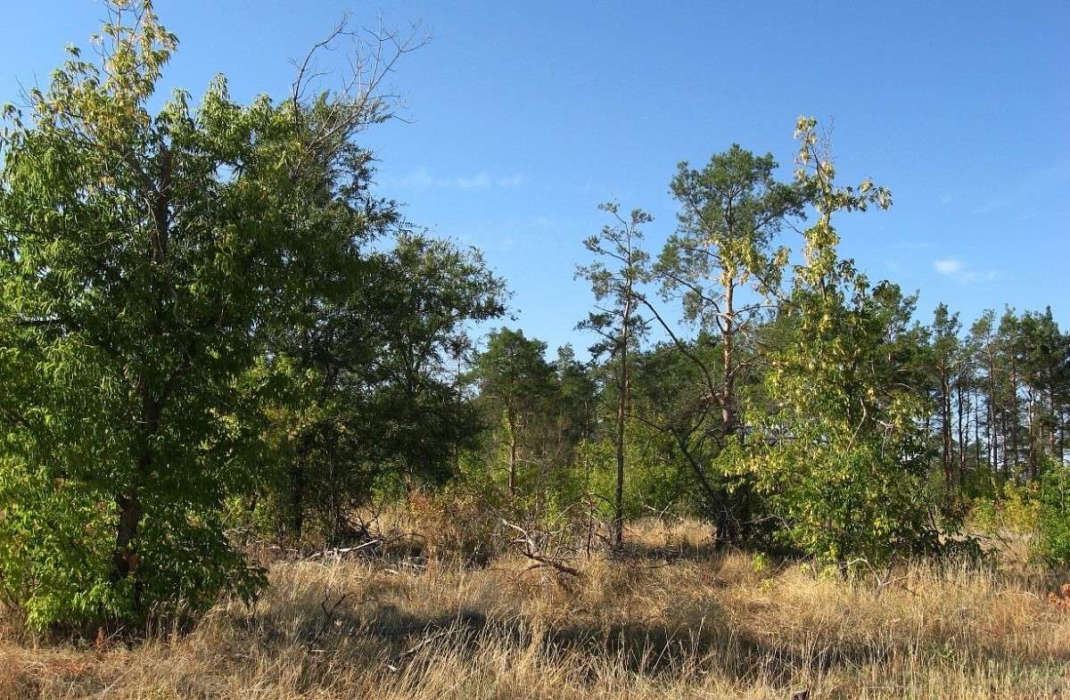 �� ����� ����, �� �������... ����� Natali  ��������� �� PhotoGeek.ru #������ ��� ������� #����� ��������������