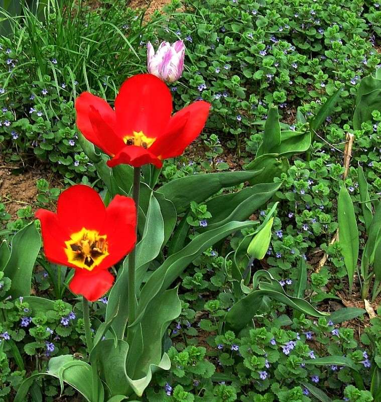 ������ ������...) ����� Natali  ��������� �� PhotoGeek.ru #������ ��� ������� #����� ��������������