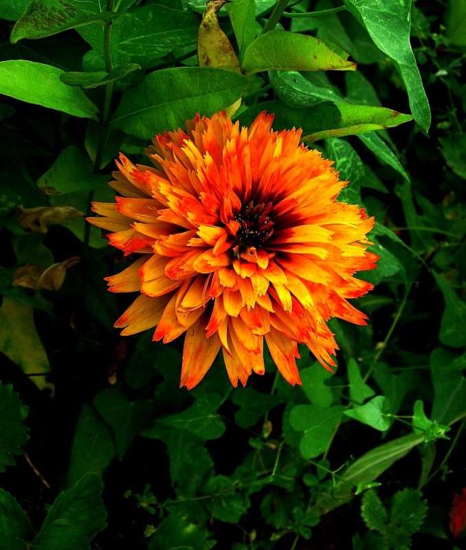 ������ ...) ����� Natali  ��������� �� PhotoGeek.ru #������ ��� ������� #����� ��������������