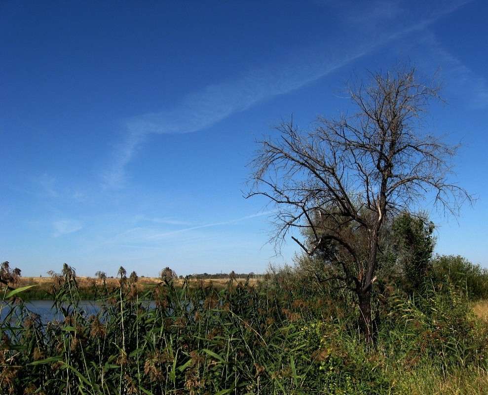 �������� ������ ����� Natali  ��������� �� PhotoGeek.ru #������ ��� ������� #����� ��������������