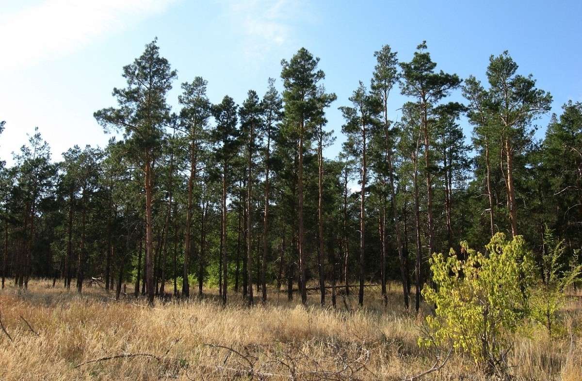 ... ����� Natali  ��������� �� PhotoGeek.ru #������ ��� ������� #����� ��������������