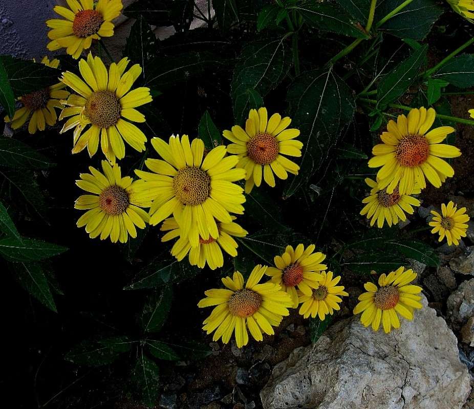 ��� ����� � �����...) ����� Natali  ��������� �� PhotoGeek.ru #������ ��� ������� #����� ��������������