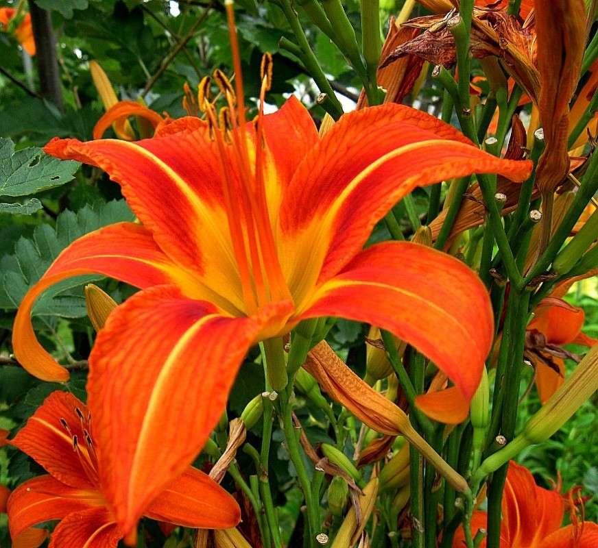 � ����� ��� ?...))) ����� Natali  ��������� �� PhotoGeek.ru #������ ��� ������� #����� ��������������