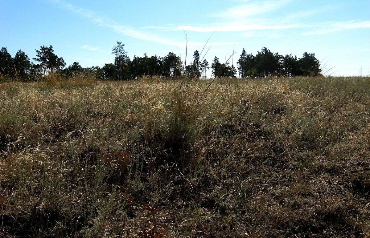 ������� �����... ����� Natali  ��������� �� PhotoGeek.ru #������ ��� ������� #����� ��������������