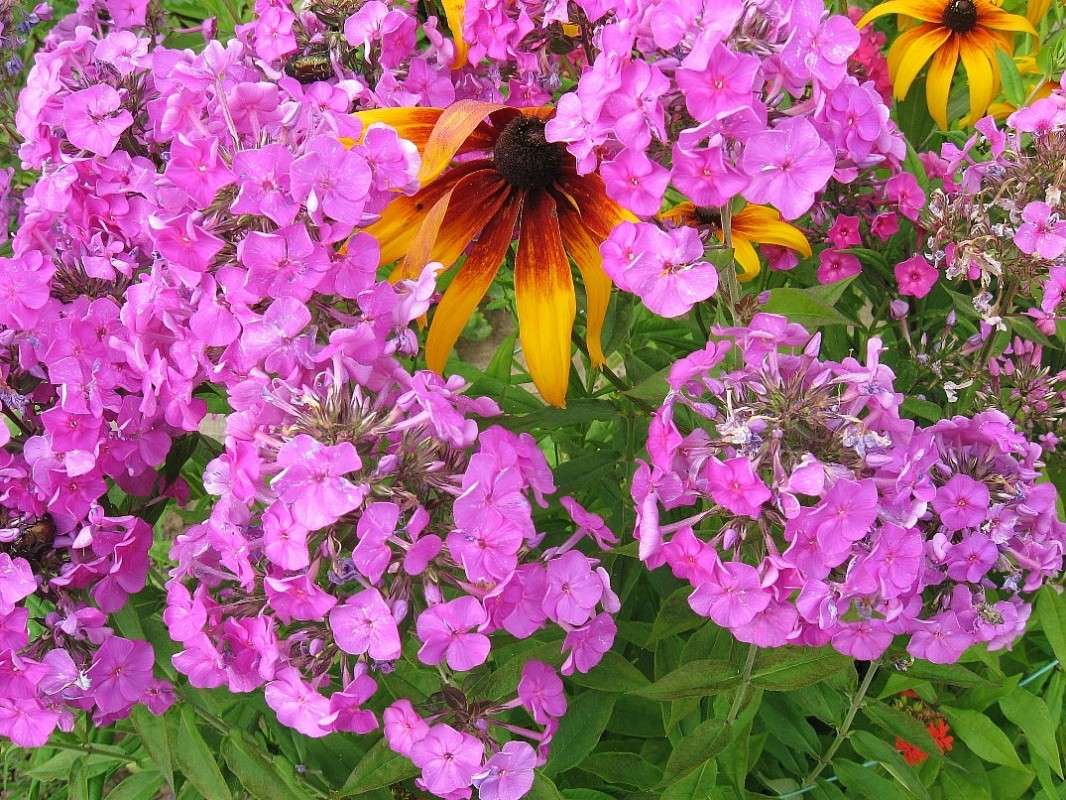 �������  �����...) ����� Natali  ��������� �� PhotoGeek.ru #������ ��� ������� #����� ��������������