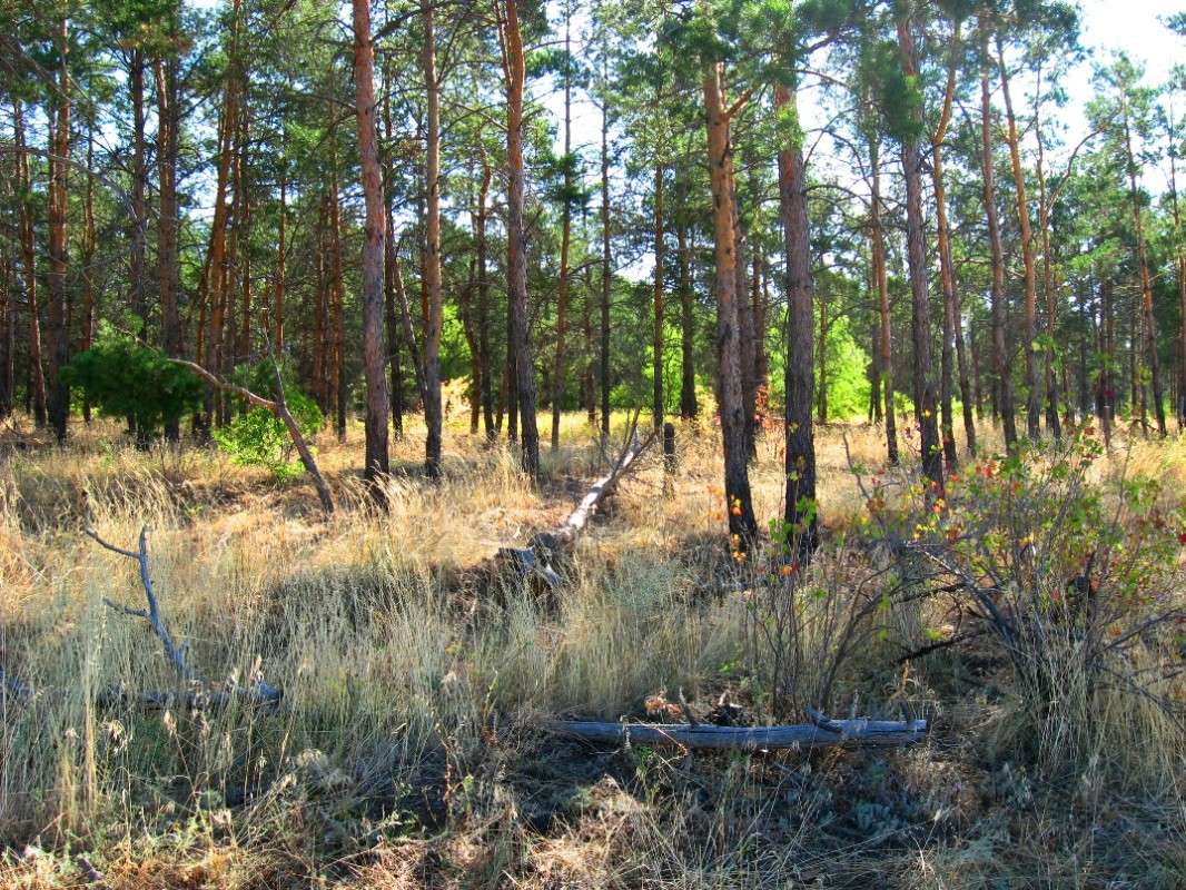 ����� ����� ����� Natali  ��������� �� PhotoGeek.ru #������ ��� ������� #����� ��������������