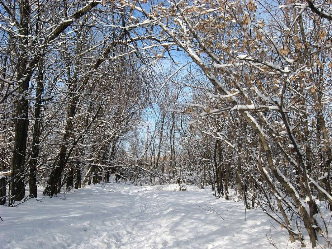 ���� ����... ����� Natali  ��������� �� PhotoGeek.ru #������ ��� ������� #����� ��������������