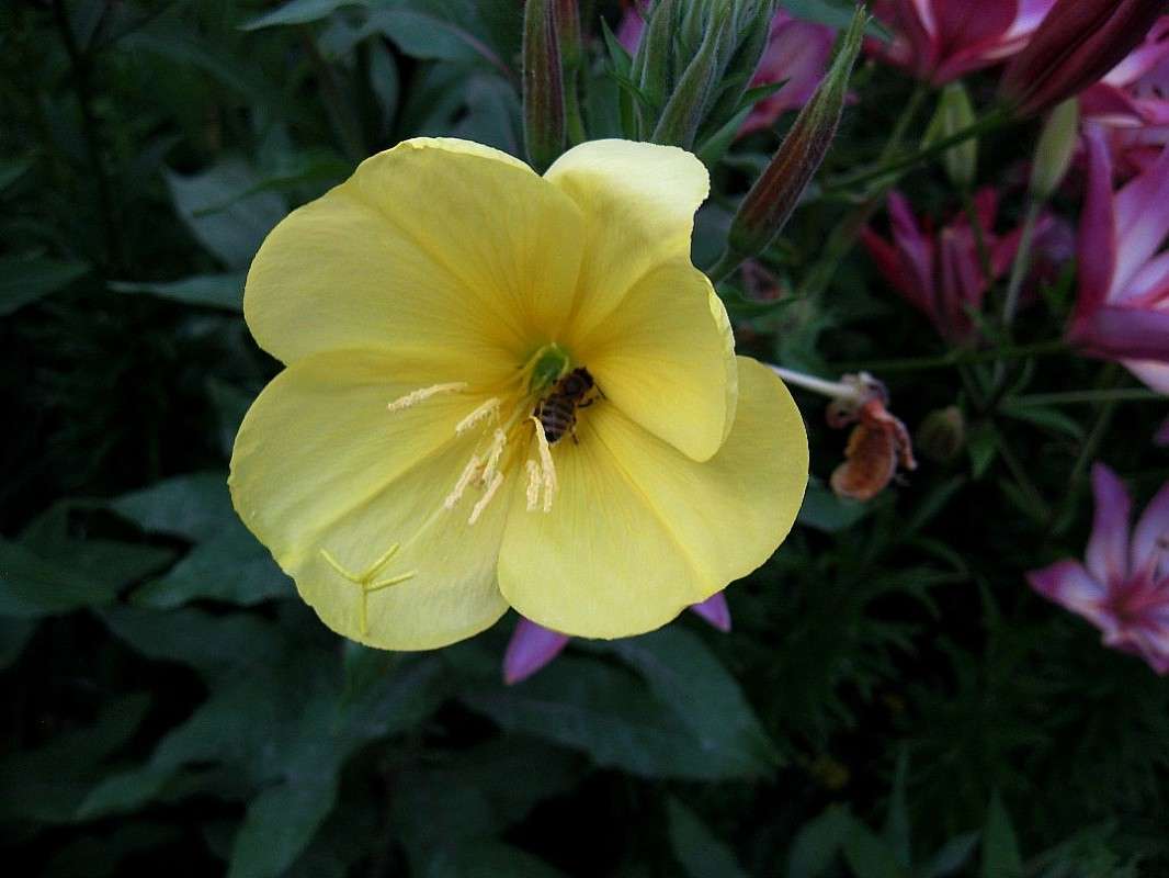 ������ ������� ����� Natali  ��������� �� PhotoGeek.ru #������ ��� ������� #����� ��������������