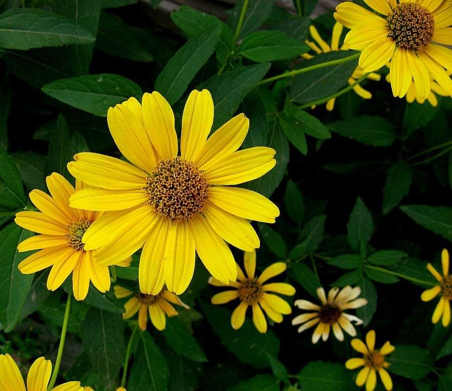 ... ����� Natali  ��������� �� PhotoGeek.ru #������ ��� ������� #����� ��������������