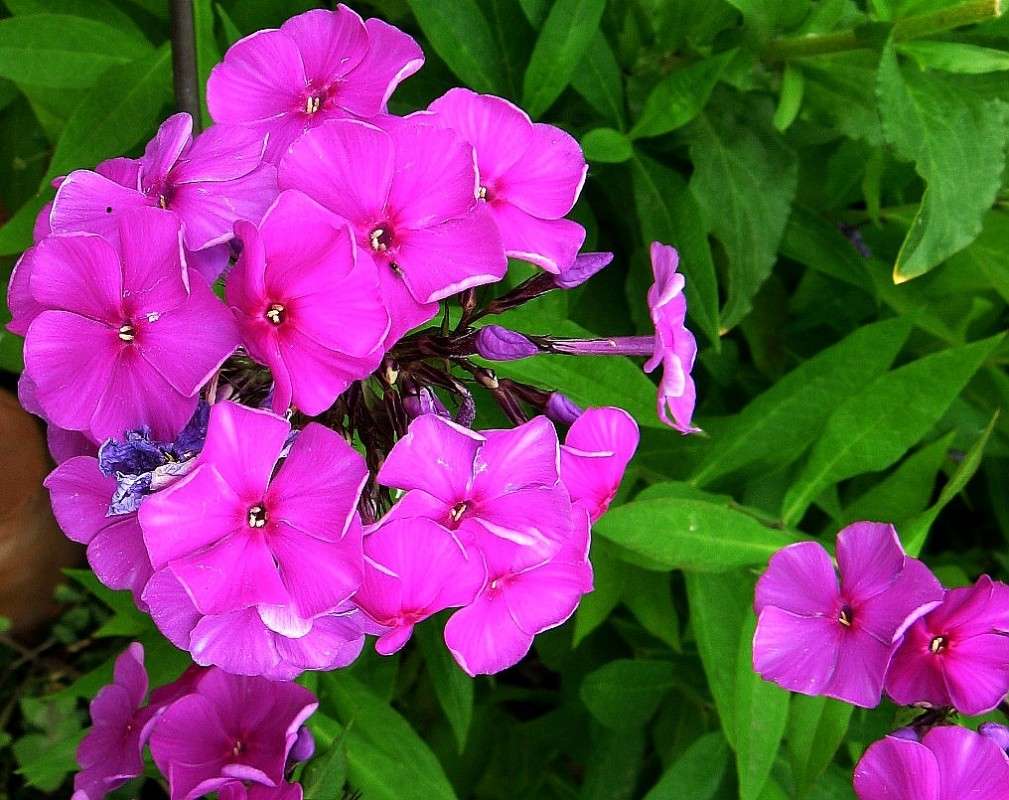 ... ����� Natali  ��������� �� PhotoGeek.ru #������ ��� ������� #����� ��������������