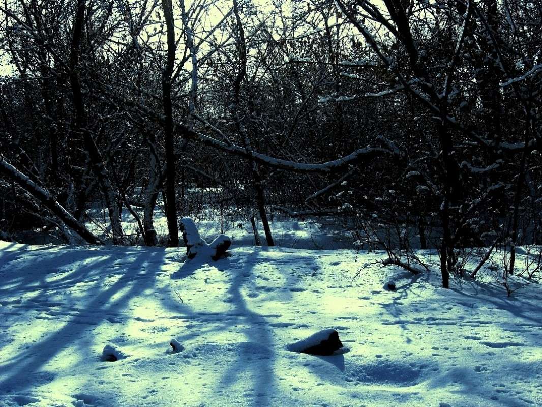 ������� ����� � �������� ����� ...) ����� Natali  ��������� �� PhotoGeek.ru #������ ��� �������