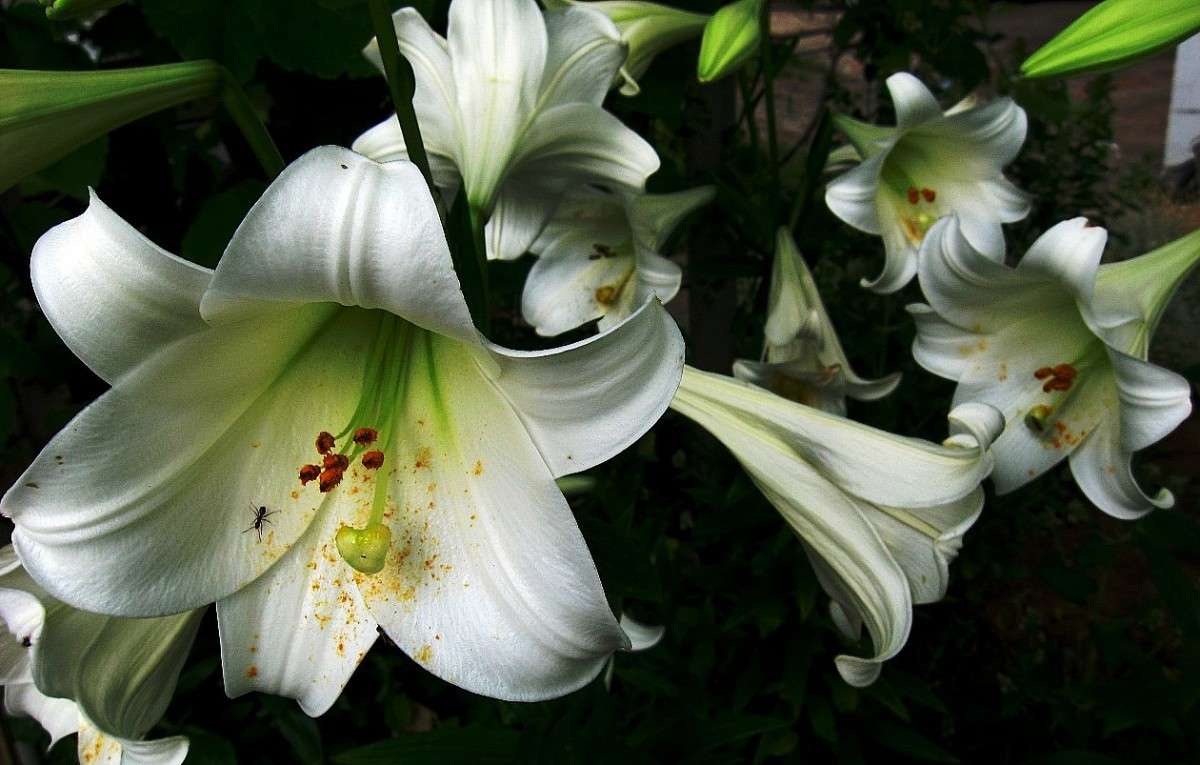 ��� ��� ��� �����... ) ����� Natali  ��������� �� PhotoGeek.ru #������ ��� ������� #����� ��������������