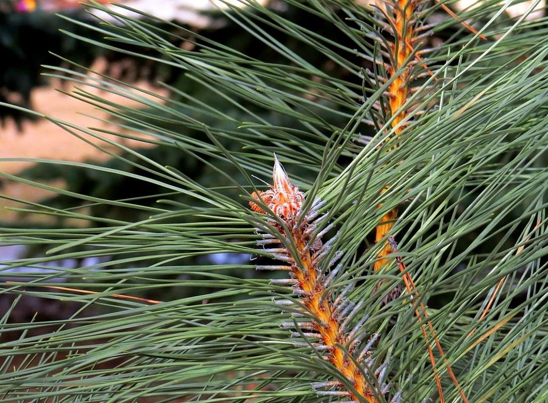 ������ ����� ��� �����...) ����� Natali  ��������� �� PhotoGeek.ru #������ ��� ������� #����� ��������������