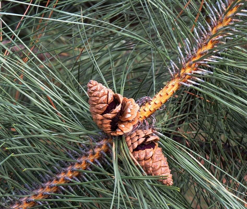 ����� ��������...) ����� Natali  ��������� �� PhotoGeek.ru #����� ��������������