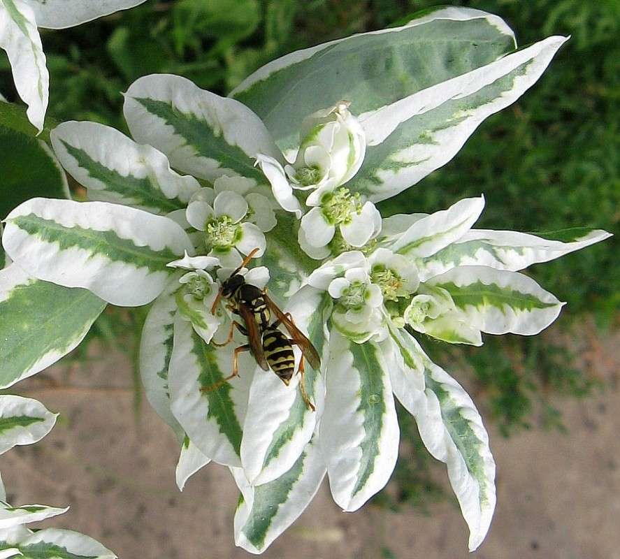 ��� �������...) ����� Natali  ��������� �� PhotoGeek.ru #������ ��� ������� #����� ��������������