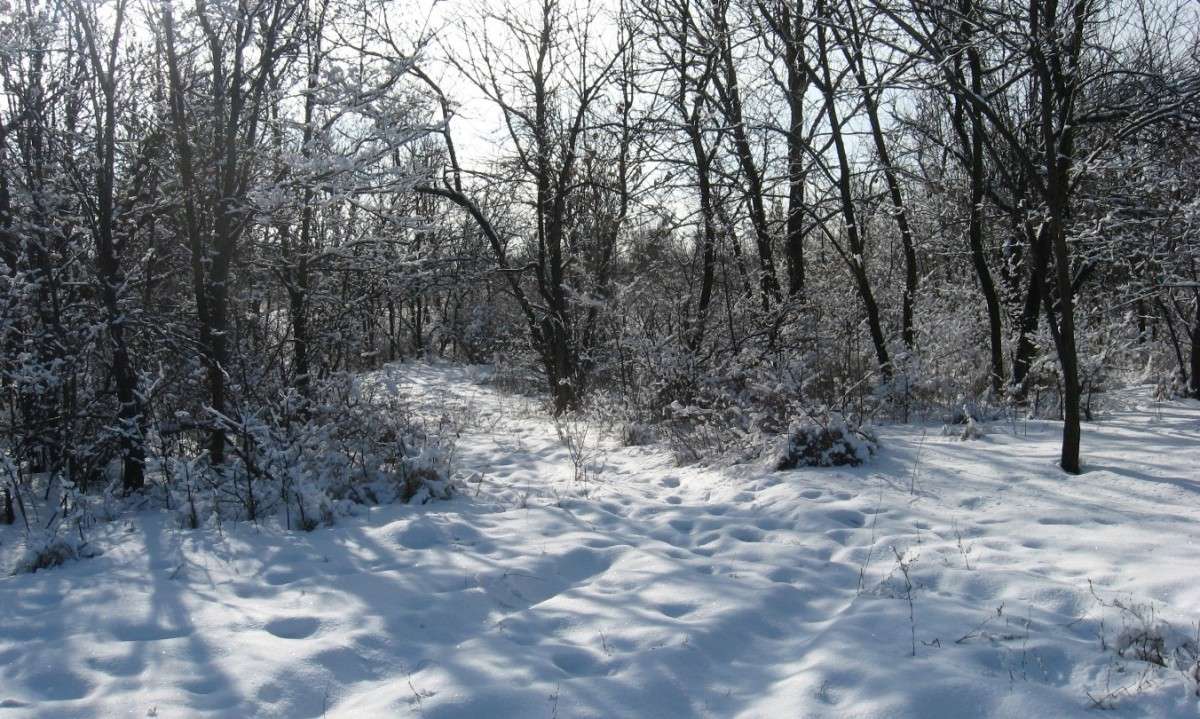 ������������ ����������� ) ����� Natali  ��������� �� PhotoGeek.ru #������ ��� ������� #����� ��������������