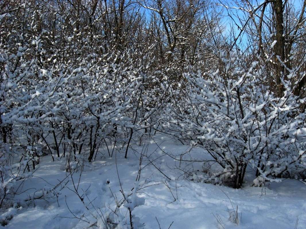 ��������� ����� Natali  ��������� �� PhotoGeek.ru #������ ��� ������� #����� ��������������