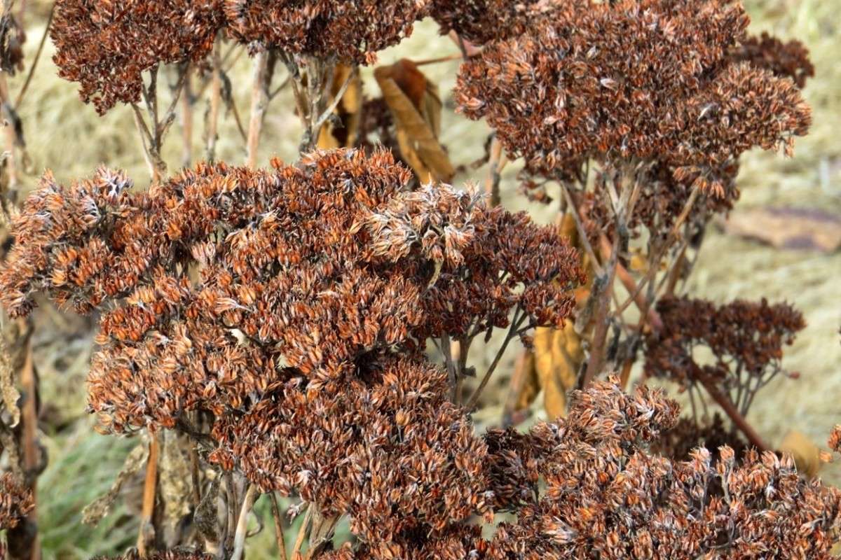 ���������� ����...) ����� Natali  ��������� �� PhotoGeek.ru #������ ��� ������� #����� ��������������