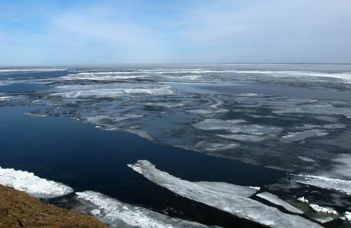 ˸� ��������... ����� Natali  ��������� �� PhotoGeek.ru #������ ��� �������